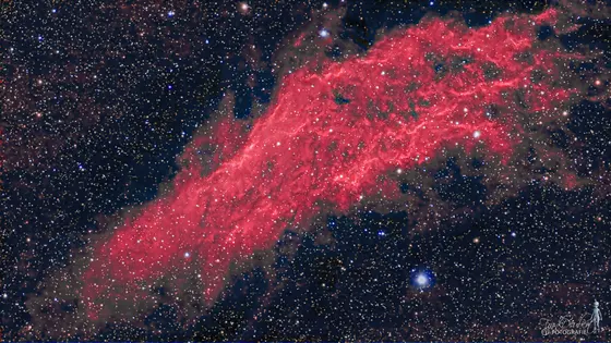 Kalifornien-Nebel (NGC 1499) im Sternbild Perseus