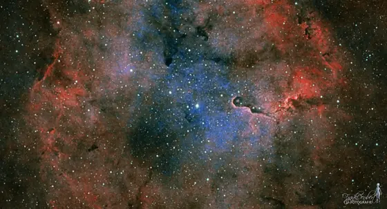 Elefantenrüsselnebel (IC 1396) im Sternbild Kepheus