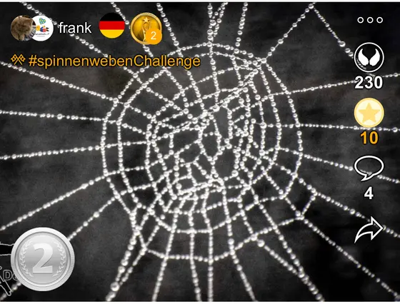 Wettbewerbsfoto (Bild 19)