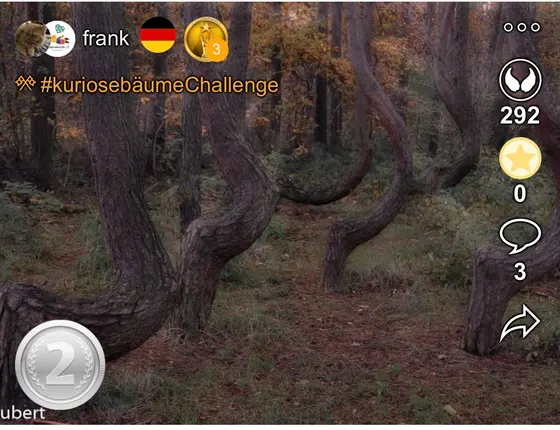 2. Platz bei der kuriosebäumeChallenge