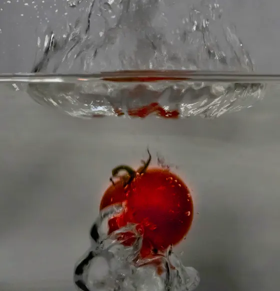 Experimentelles Foto (Bild 11)