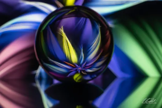 Experimentelles Foto (Bild 23)