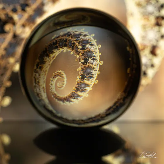 Experimentelles Foto (Bild 26)