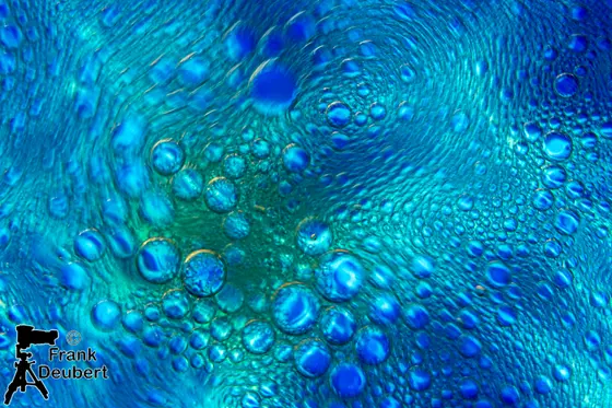 Experimentelles Foto (Bild 43)