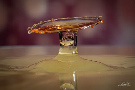 Experimentelles Foto (Bild 50)