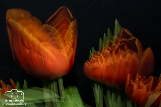 Experimentelles Foto (Bild 59)