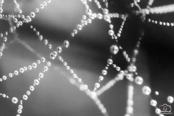 Minimalistisches Foto (Bild 11)
