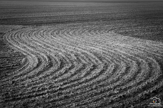 Minimalistisches Foto (Bild 13)