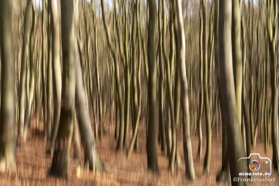 Naturfoto (Bild 17)