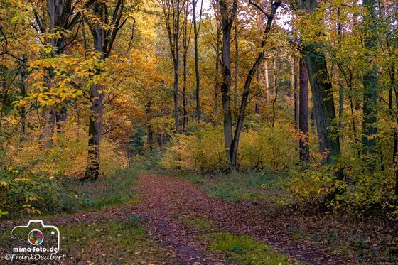 Naturfoto (Bild 21)